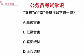 公务员考试题，宰相的宰，表示的意思是什么？