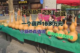 中国葫芦之乡，各式各样的葫芦，一个葫芦能卖10万多，真值钱呀！