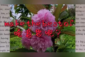 make the best of啥意思呢？