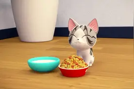 小猫猫名字叫小奇，他过着幸福的生活，主人都很爱他呢