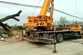 百年老树不能砍，要移栽吊车不敢直接吊起来，凑近一看树心是空的