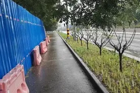 北京像这样的雨天不多见，出来溜达溜达，晚上睡觉都不用开空调了视频封面