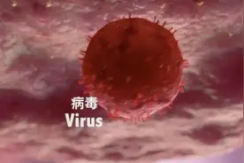 病毒是如何进入人体细胞，并复制DNA繁殖的？