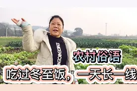 “吃过冬至饭，一天长一线”，一线有多长？到2021年春节有几线