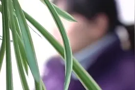 休完产假的她回到工作岗位，公司的安排，却让她产生了落寞的情感视频封面