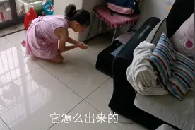 仓鼠馄饨又逃跑了，这次它躲哪里了？视频封面