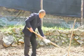 长见识了！玉米原来是这样种出来的