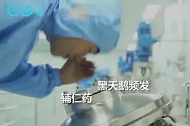黑天鹅频发！辅仁药业吉药控股上演跌停潮，股民欲哭无泪视频封面