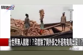 印度工人用头搬砖头、摩托车，比杂技精彩太多，不得不佩服视频封面