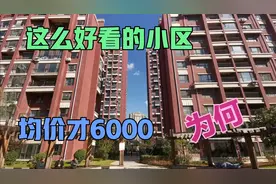 沈阳50号公馆小区，园区内垃圾快堆成山，散发着臭味，均价6000多