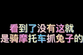 看到没有这就是骑摩托车抓野兔野鸡视频封面