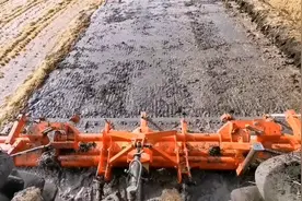 你要了解的农机补贴知识，从此补贴路上不求人。视频封面