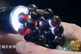 美女带来108颗血珠子，专家灯光一打通透无比，不料估价500000元视频封面