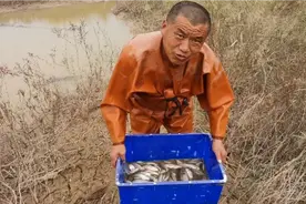 老渔民在黄河发现一个水坑，里面全是鱼，直接下河摸鱼，发财了视频封面