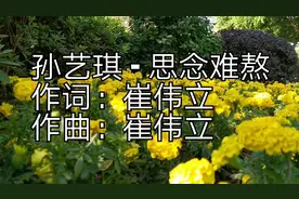 孙艺琪《思念难熬》，请为我把你照顾好，等你来共度天荒地老