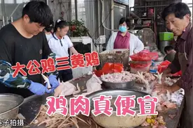 山东鸡肉降价了，大公鸡13元三黄鸡7元一斤，真便宜视频封面