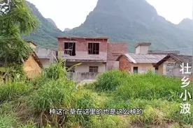 在农村有荒废的老泥房，看看小波哪里是如何利用，都拿来做些什么视频封面