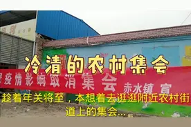 陕西小伙寒冬腊月里闲逛渭南华县农村集会，为何集会如此冷清？视频封面