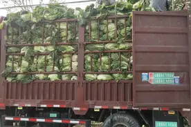我的福田瑞沃空车4890四米二蓝牌总质量4500。还跑个嘚只能拆车视频封面