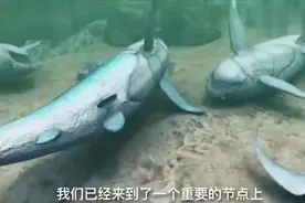 生物进化史：从水里走向陆地，到恐龙时代，发生二叠纪生物大灭绝