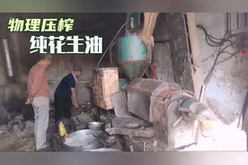用55斤花生米去榨油，出油率真高，能榨出这么多花生油你不要吃惊视频封面