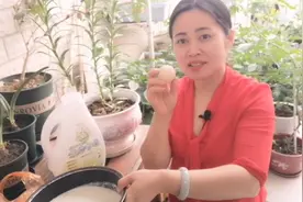 过期鸡蛋也可做花肥，沤制有机肥详细过程来了，爱养花爱生活