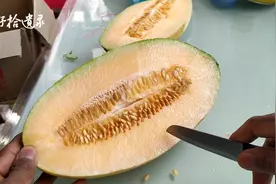 金皇后蜜瓜， 曾经的王者，如今栖身杂草丛？视频封面