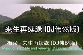 梅朵 - 来生再续缘 (DJ伟然版)