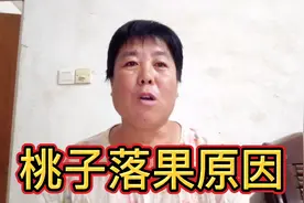 桃子落果的原因有多种，如何预防，你都弄清楚了吗？