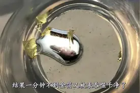 好神奇的实验：黄金尽然会被水银吸收吞噬