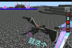 我的世界:凋零斯拉和执行之龙放大时