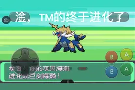 口袋妖怪漆黑的魅影的第五期。