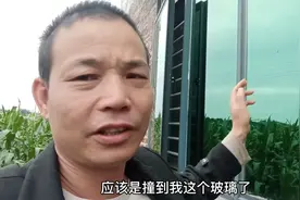 农村风景好，窗户玻璃选有色还是无色好呢？看完视频就知所需了