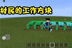 村民的工作方块。你能找到隐藏的村民吗？