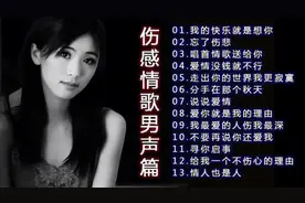 十三首伤感歌曲男声版