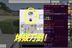 我的世界拔刀48：这把拔刀剑可以放在火上烤！
