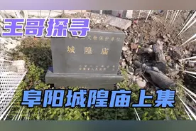 老阜阳的中心地带，最热闹的地方，庙会的举办地，城隍庙！上集视频封面