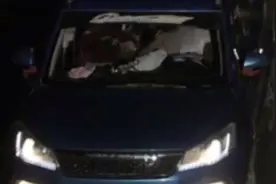 高速上秀恩爱，妻子撒娇，丈夫顺势搂进怀里，被交警处罚！视频封面