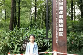 西溪湿地公园人多不多？你来看看吧视频封面