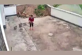 野鸡从天而降，摔死了，请问条友，是何寓意，可以吃吗？视频封面