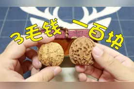 价值100元一粒的文玩核桃吃起来是什么味道？