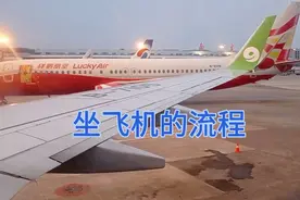 赶飞机回家过年，取票机显示未购票（内含）视频封面