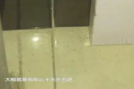 家里频繁出现棕色小虫，业主“招数”用尽，就是除不干净！视频封面