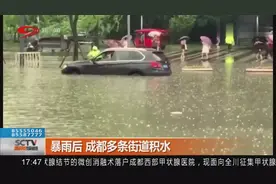 成都：暴雨后多条街道积水，车辆被困，各部门第一时间排水救援视频封面