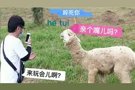 中缅边境除了宝石还有啥？小动物也是特色，跟我一起看看吧！视频封面