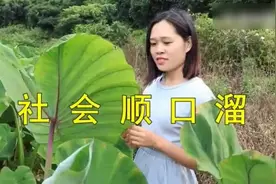谁编的《社会顺口溜》太牛了，句句大实话，好听极了！视频封面