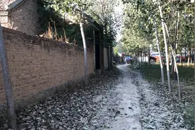 97年鄄城陨石雨绵延50里，曾经捡过几块，上月也捡一块再找找