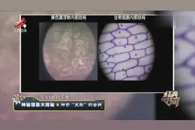 神秘的两口清浊不一的古井悄然替换，检测结果却让人大吃一惊视频封面