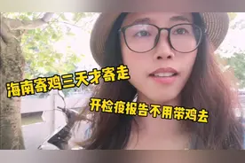 妹子在海南寄文昌鸡，为啥顺丰三天才寄走，开检疫证明却不用带鸡视频封面