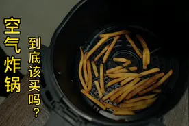 空气炸锅，到底该买吗？真人蒙眼实测油炸和空气炸锅区别。视频封面